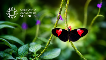California Academy of Sciences